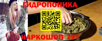 стаф Анжеро-Судженск
