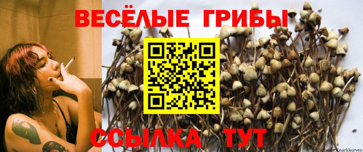 Псилоцибиновые грибы ЛСД  где купить   Аргун  Галлюциногенные грибы мухоморы  Вход с VPN 