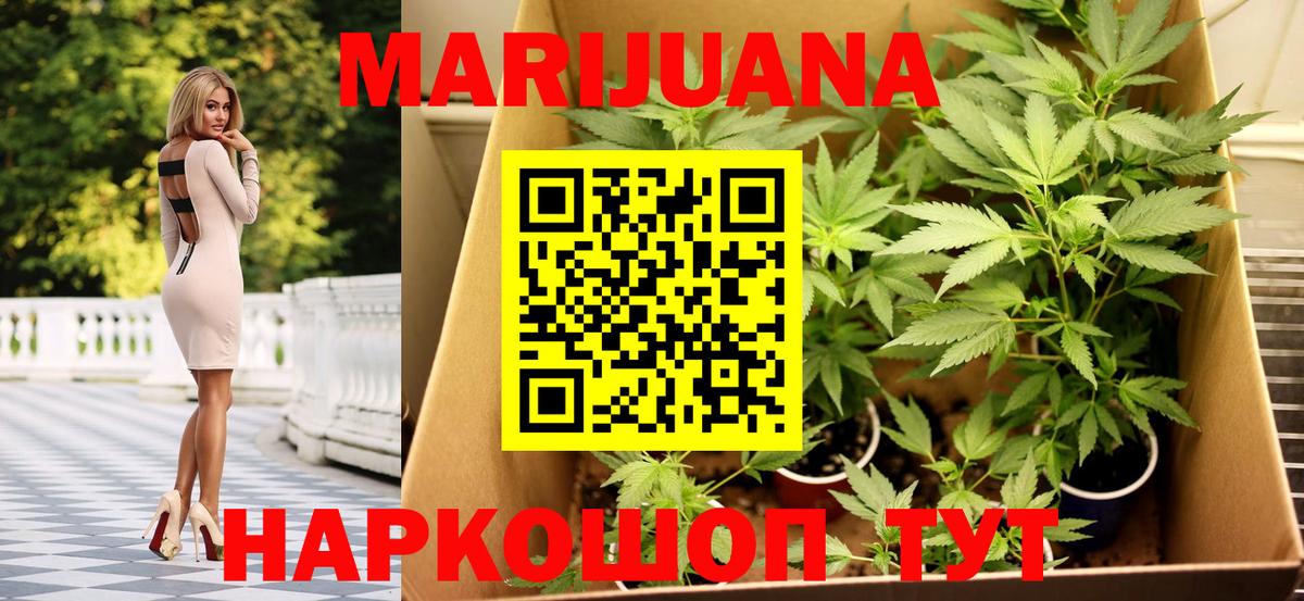 Марихуана Ganja  Марихуана Amnesia  Вход с VPN  Аргун  Бошки марихуана гибрид  Канабис план 